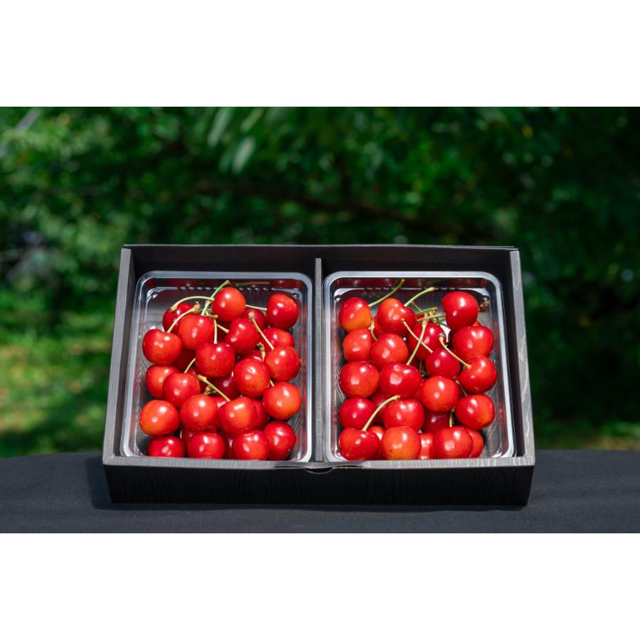 ＜アンスリーファーム＞特秀品Bコース【定期便4回】