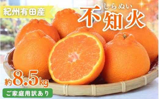 【ご家庭用訳あり】紀州有田産不知火(しらぬひ) 約8.5kg 【予約】※2027年2月中旬頃〜3月中旬頃に順次発送予定(お届け日指定不可)【uot507A】