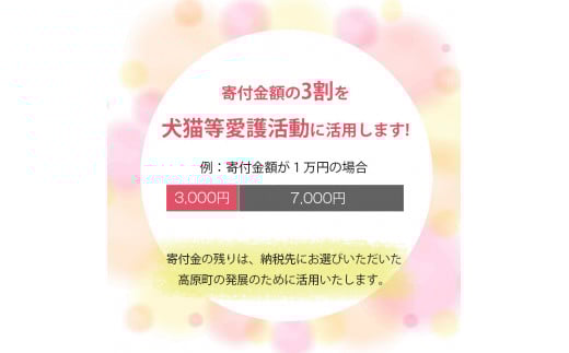 
【返礼品なし】【犬猫等愛護活動 犬と猫と人にとって住みよい社会づくりを応援】宮崎県 高原町 特定非営利活動法人 咲桃虎(さくもんと)　TF3029
