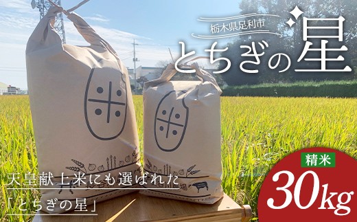 
                  とちぎの星 お米 30kg 米 こめ 食品 農家 贈答 贈り物 ギフト プレゼント 家庭 自宅 栃木県 足利市 F7Z-2504
                