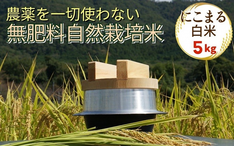 
            米 令和7年産 自然栽培米 にこまる ＜農薬を一切使わない無肥料栽培＞ 白米 5kg（精米したて） 《米 京都丹波産 無農薬米栽培向き 厳選品種》
          
