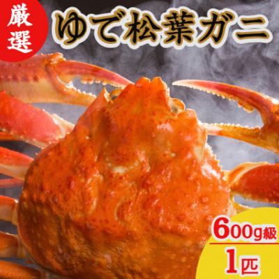 ふるさと納税 京丹後市 ズワイガニ 姿【厳選!タグ付きブランド蟹】茹で松葉かに 600g級×1杯  日本海山陰西部産