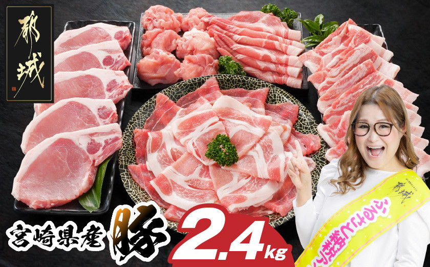 
                  【お届け時期を選べます】宮崎県産豚わくわく2.4kgセット(真空)_14-84-002-2400g-S2026_(都城市) 豚肉 豚肉セット 宮崎県産豚 しゃぶしゃぶ バラ 焼肉 切り落とし 肩ローススライス ロース とんかつ ミンチ 使い勝手抜群 小分け 真空
                