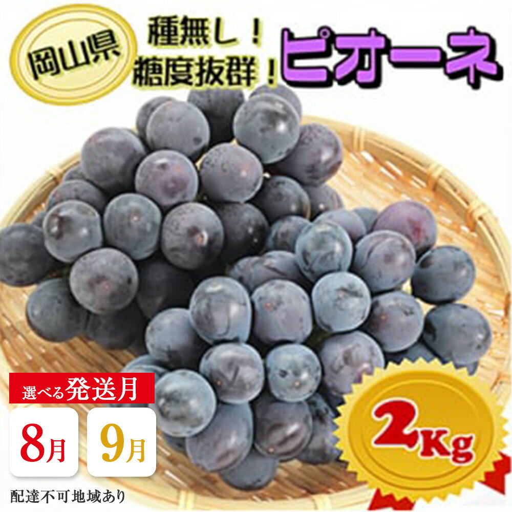 【ふるさと納税】ぶどう 2025年 先行予約 ニュー ピオーネ【選べる配送時期】約2kg（2房～5房）秀品 糖度抜群！ 種無し ブドウ 葡萄 岡山県産 国産 フルーツ 果物 ギフト | フルーツ 果物 くだもの 食品 人気 おすすめ 送料無料