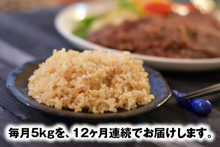 【令和7年産】【農家直送定期便 12ヶ月コース】【玄米】 本原農園のまごころコメた 福井県産 コシヒカリ 5kg × 12回 計60kg [M-8904]
