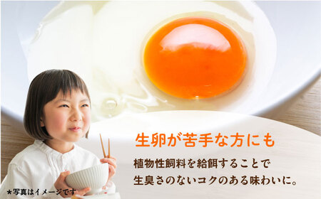 餌にこだわった三浦半島産赤たまご　20個 赤たまごたまご たまご こだわりたまご たまご  [AKET003]