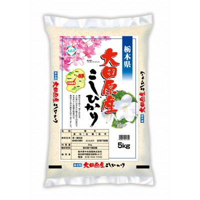 ふるさと納税 大田原市 【令和7年産】大田原産コシヒカリ 精米 5kg