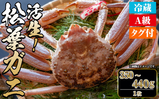 ＜平日着※指定日不可＞＜期間限定＞＜11月中旬～3月中旬発送予定＞松葉ガニ 活生(350〜440g・1枚)【sm-DD042-A】【Workplays】