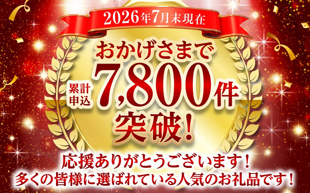 ＼人気急上昇中です！／