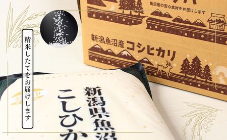 【12ヶ月定期便】令和7年産新米 魚沼産コシヒカリ「金印」高食味米 10kg×全12回 新潟県 津南町 有限会社イタバ 