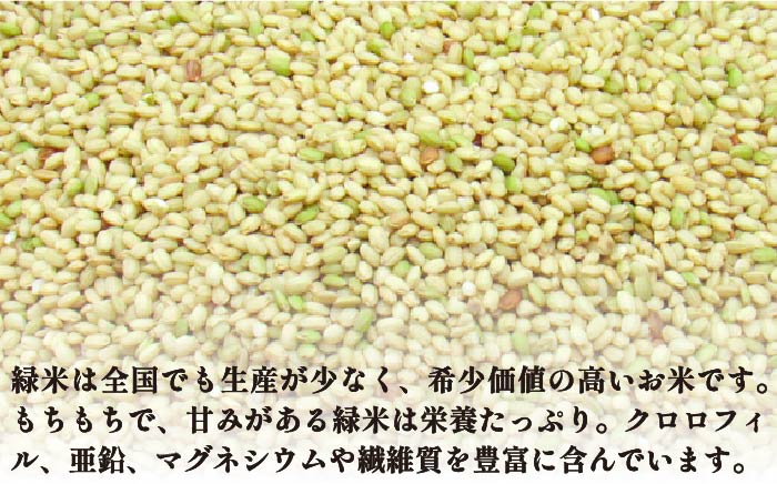 【予約受付】古代米 黒米 赤米 緑米 計3kg (3種各1kg) 原の辻遺跡《壱岐市》【天下御免】 [JDB126] 14000 14000円