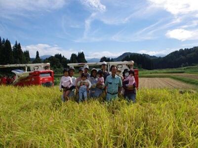 杵つき餅 4パックセット（白餅1・草餅1・豆餅1・玄米餅1）有機jaS認証米 |津南町 もちセット