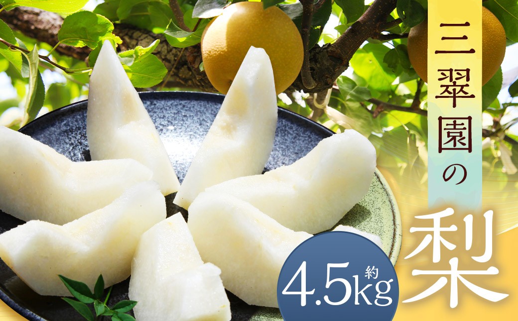 
                  三翠園の梨 4.5kg 【2026年8月上旬～12月上旬迄順次発送予定】 3.5キロ 梨 なし ナシ 果物 果実 フルーツ 幸水 豊水 二十世紀 あきづき 新高 新興 九州 福岡県 嘉麻市 冷蔵
                