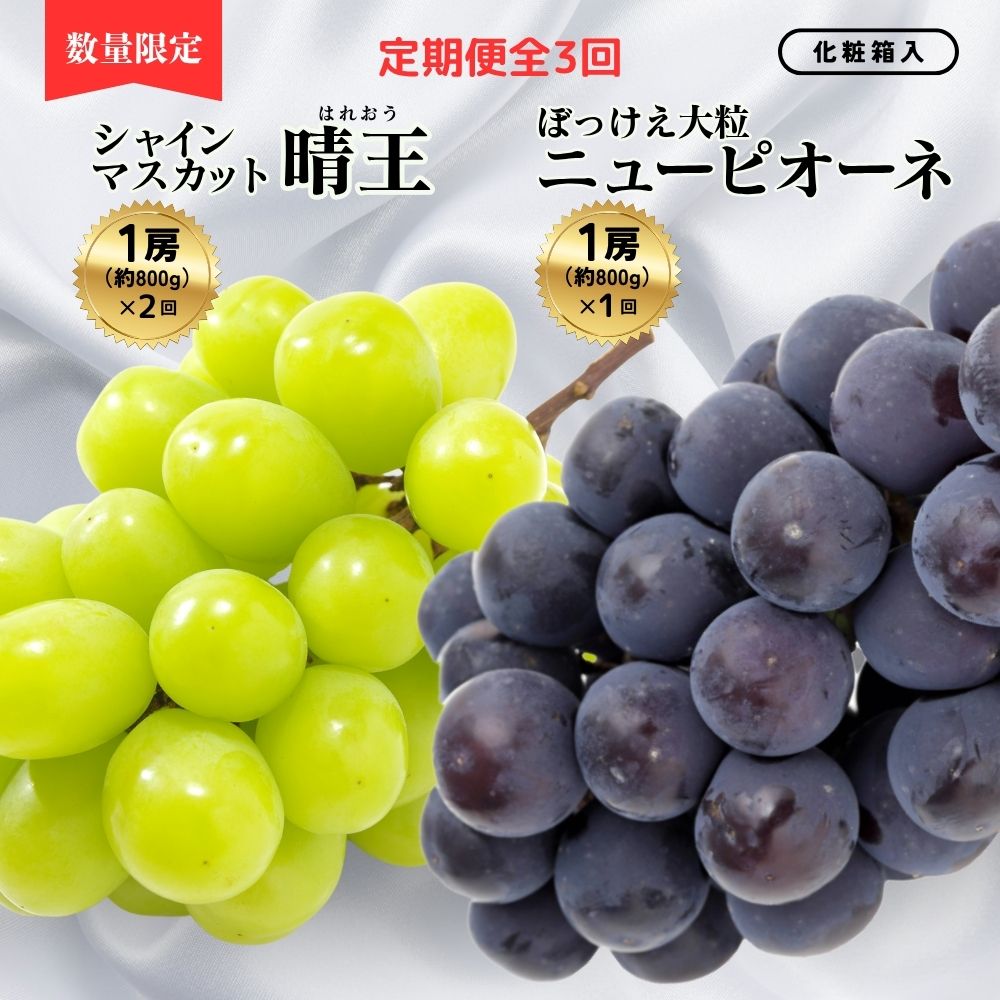 【ふるさと納税】＜定期便全3回＞シャインマスカット晴王1房800g2回とぼっけぇピオーネ1房800g1回の計3回コース