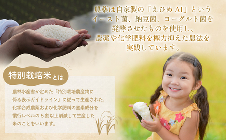 【選べる発送月】【9月中旬発送】令和7年産新米 特別栽培米 循環型農業で作った「にじのきらめき」10kg (5kg×2) 米 コメ こめ 特別栽培 先行 先行予約 精米 白米 人気 おすすめ 5kg 
