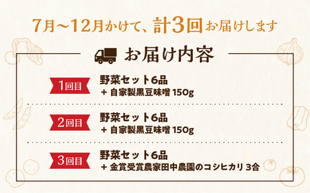 《先行受付》《期間限定》無農薬栽培 受賞農家 野菜セット 6品 3回お届け 定期便 お野菜のレシピ付き  [Q215re] 