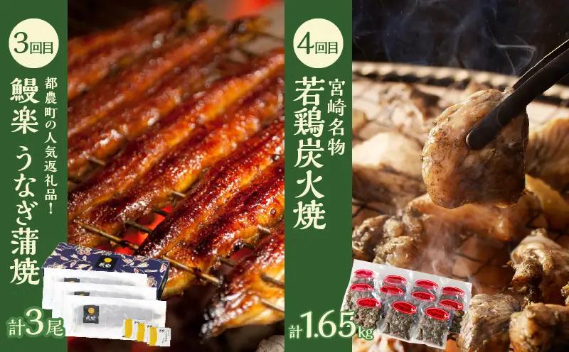 ≪6か月お楽しみ定期便≫都農町定期便(松) 肉 加工品 鰻 国産_T999-0075