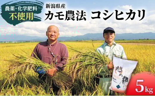 カモ農法コシヒカリ5kg 米 精米 白米 コシヒカリ 5kg こめ コメ お米 おこめ こしひかり カモ農法 農薬不使用 化学肥料不使用 新潟 新潟県