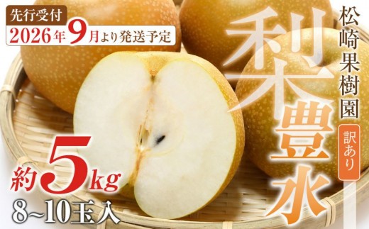 【訳あり梨 2026年発送／先行予約】訳あり「豊水」約5kg（8～10玉入）【松崎果樹園】｜訳あり 梨 ナシ こだわりの梨 フルーツ 果物 旬の梨 宮城県角田市 約5kg