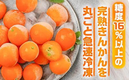【母の日】内山金柑園のまるかじり氷結きんかん7パック≪5月7日～10日お届け≫_AO-J703-MG_(都城市) 内山金柑園 完熟きんかん 氷結きんかん 急速冷凍 糖度16％以上 シャーベット 10粒