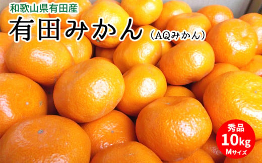 U6305_【2026年先行予約】有田みかん（AQみかん）約10kg Mサイ