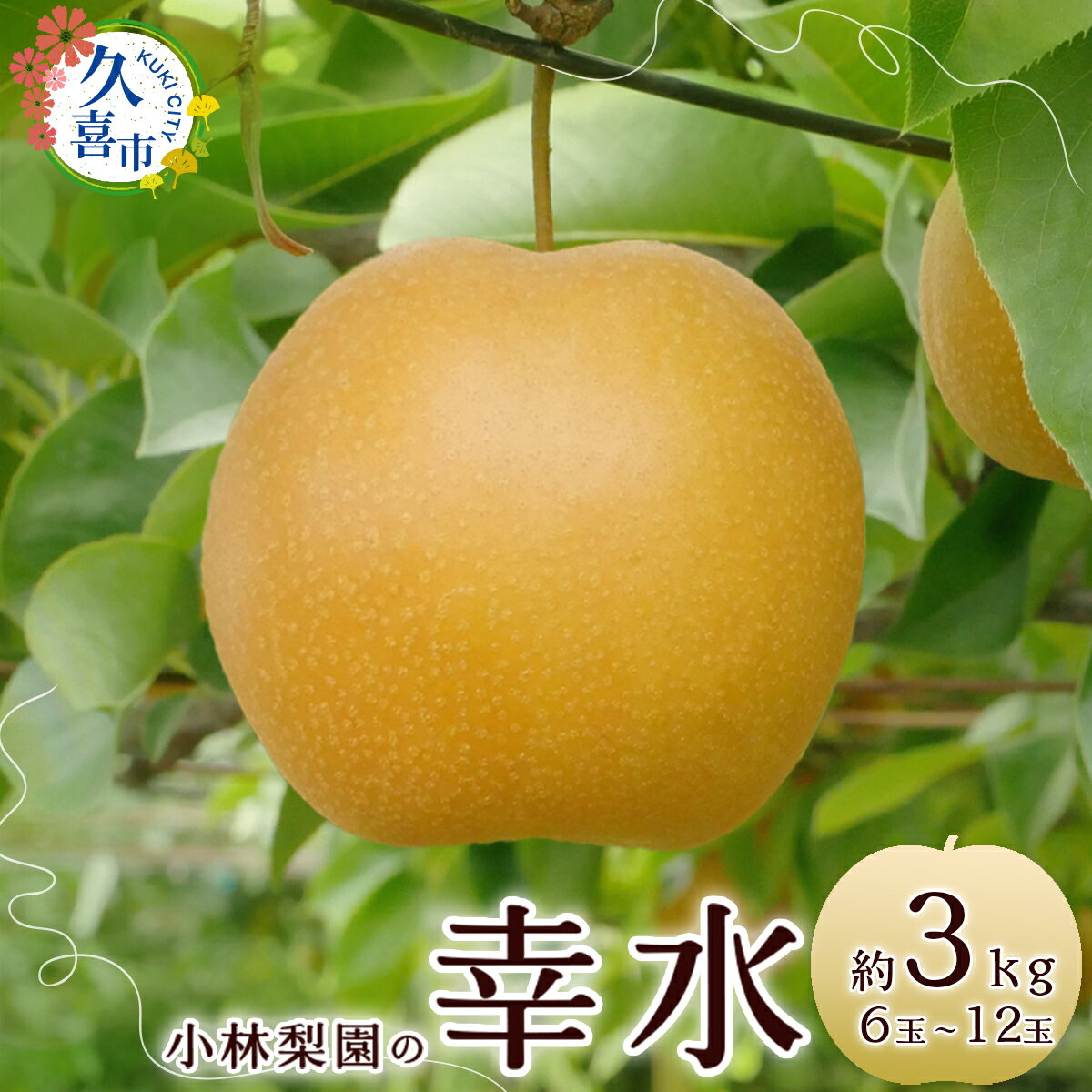 【ふるさと納税】《先行予約 数量限定》梨 幸水 約3kg 6玉～12玉｜埼玉県 久喜市 菖蒲 小林梨園 農家直送 フルーツ 甘い 限定 果物 果樹 直売