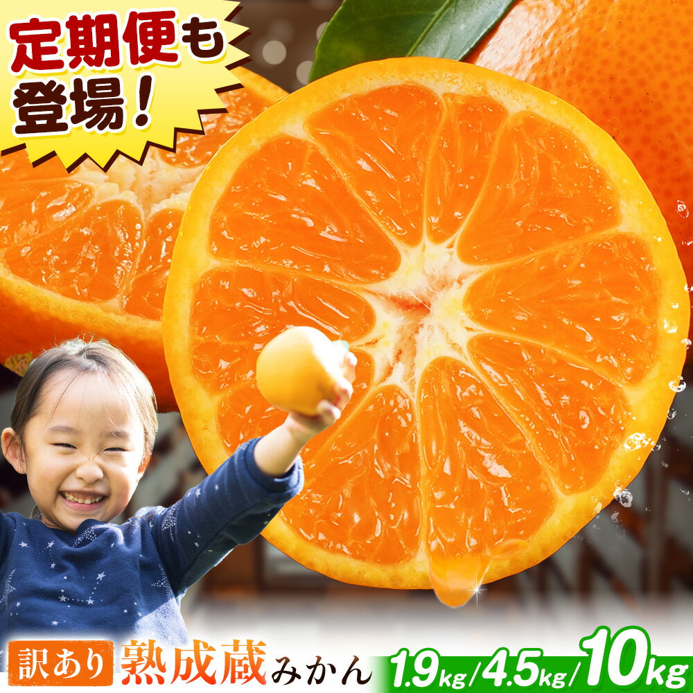 【ふるさと納税】《 年明け 1月発送 》訳あり 熟成みかん 選べる容量(1.9kg-10kg) 《1月中旬-3月中旬発送》徳島県 佐那河内村産 蜜柑 ミカン 柑橘 家庭用 フルーツ 産地直送 甘い 濃厚 蔵出し 大容量 箱買い くだもの 冬の味覚 1月配送 お正月明け 数量限定 まだある