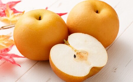 ≪先行受付≫ 福果園の樹上完熟梨 農家直送品種おまかせ（3kg程度）5～9玉 | 福果園 梨 果物 果実 完熟 フルーツ 冷蔵 農家直送 新鮮 品種 おまかせ 豊水 福水 あきづき 甘太 岐阜県 美濃