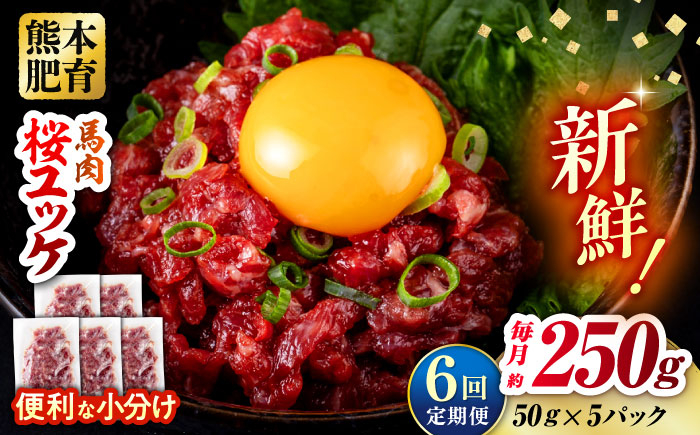 
            【全6回定期便】馬肉 さくらユッケ 50g×5パック 計250g お肉 桜ユッケ 赤身 生食 小分け 冷凍 馬肉 桜肉 ユッケ おつまみ 熊本県 合志市【五右衛門フーズ熊本店】 [AYBV029]
          