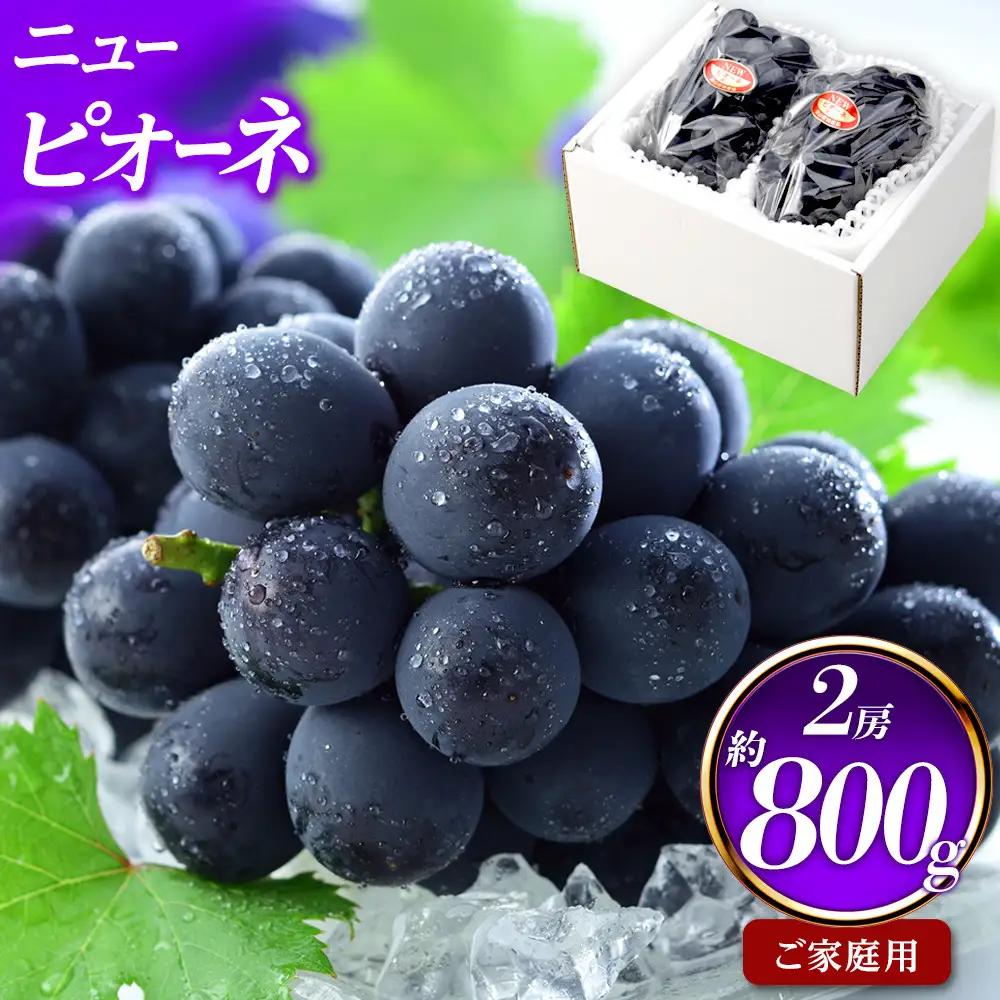 ご家庭用 ニュー ピオーネ 約400g×2房 岡山県産｜  ピオーネ