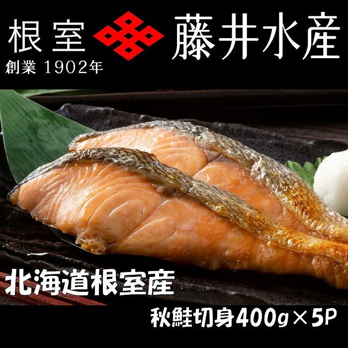 【ふるさと納税】 ＜鮭匠ふじい＞ 天然鮭切身 ( 甘塩 ) 400g × 5P 鮭 さけ サケ しゃけ シャケ 魚 さかな サカナ 秋鮭 秋ざけ 秋ザケ あきざけ アキザケ お取り寄せ グルメ 海鮮 塩ざけ 塩鮭 切り身 北海道 根室市 ふるさと納税 A-42129