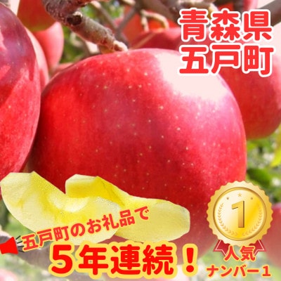 【青森ごのへ産】味に自信 りんご  サンふじ 約5kg【配送不可地域：離島・沖縄県・中国・四国・九州】