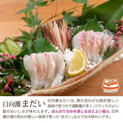 ふるさと納税 門川町 真鯛としまあじのお刺身セット(門川町) |  | 01