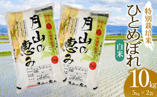 【令和6年産 新米】 特別栽培米 ひとめぼれ 白米 10kg（5kg×2袋）山形県鶴岡市産　米工房 月山