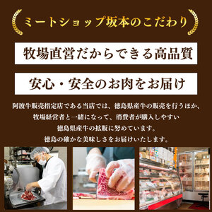 牛肉 ステーキ サーロインステーキ 阿波牛 360g ステーキ