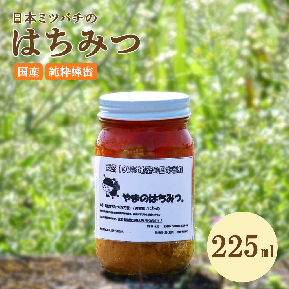 【ふるさと納税】はちみつ 日本蜜蜂の蜂蜜 225ml 蜂蜜 百花蜜 調味料 天然100% 蜂蜜 非加熱 ハニー トースト パン ヨーグルト 隠し味 コーヒー 紅茶 国産 送料無料