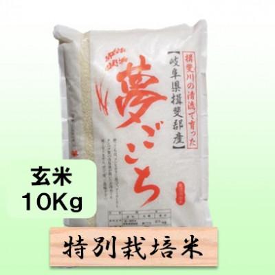 ふるさと納税 池田町 【令和6年産】特別栽培米 10kg【玄米】(夢ごこち)