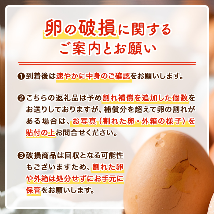 isa542 【定期便】いちき農園のこだわり卵(計240個・40個×6カ月) 【いちき農園】