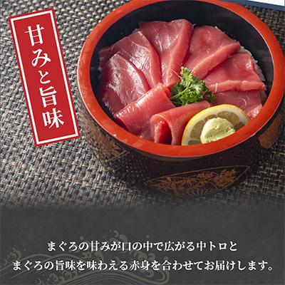 ふるさと納税 松浦市 鷹島産本まぐろ　中トロ赤身合わせて350g　まぐろ丼のタレ付き |  | 03