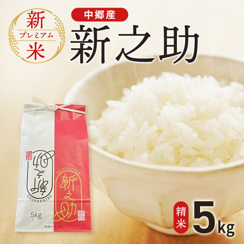 【ふるさと納税】新米 令和7年 新潟県 上越市産 新之助 5kg やまざきふぁーむ 送料無料　精米 5kg お米 コメ 白米 上越市