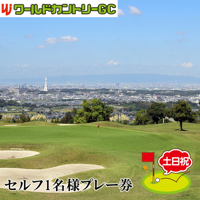 【ふるさと納税】No.234 大阪府 ワールドカントリーゴルフクラブ【土日祝】セルフ1名様プレー券 ／ GC 南河内 昼食付 チケット 送料無料 大阪府