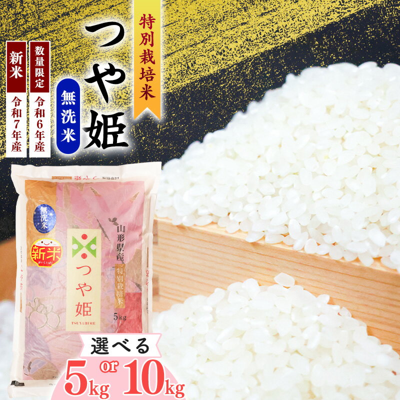 【ふるさと納税】【選べる】令和6年産 令和7年産【無洗米】 つや姫 5kg 10kg 《 特別栽培米 》2024年産 2025年産 【 人気 小分け 便利 節水 ブランド米 5キロ 10キロ ごはん お米 ご飯 農家直送 生産者直送 山形産 山形県産 山形県 寒河江市 ふるさと納税無洗米】