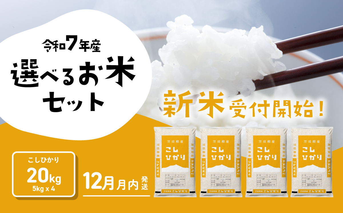 【12月発送】コシヒカリ 20kg 令和7年産 新米 茨城県産 白米 精米 茨城県 お米 米 [SF328yai]