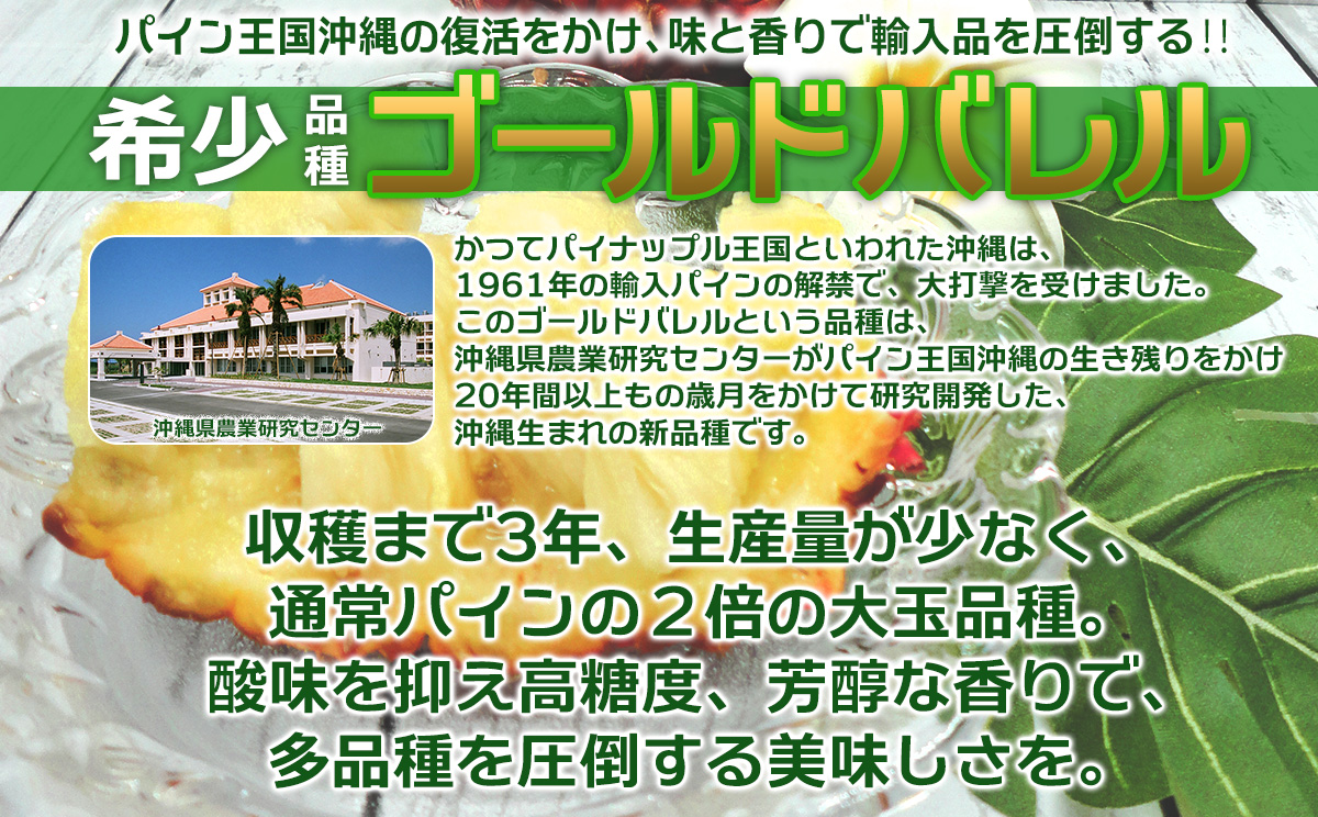 【2025年発送】　先行予約　ゴールドバレル　約4.0kg　3玉入り パイナップル 甘い ジューシー デザート 高級 フルーツ 家族で楽しめる 子供 果物 取り寄せ 旬 おすすめ ギフト 人気 家庭用