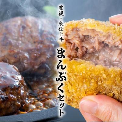 ふるさと納税 豊後高田市 【スピード発送】 ハンバーグ メンチカツ セット (計10個) 豊後・米仕上牛 九州 惣菜