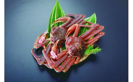 【活】タグ付き松葉ガニ 大2枚 蟹 ※2025年11月上旬～2026年3月下旬頃に順次発送予定