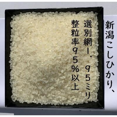 ふるさと納税 阿賀野市 【令和8年産新米】 新潟県産 「従来こしひかり」 白米 27kg(9kg×3袋) |  | 01