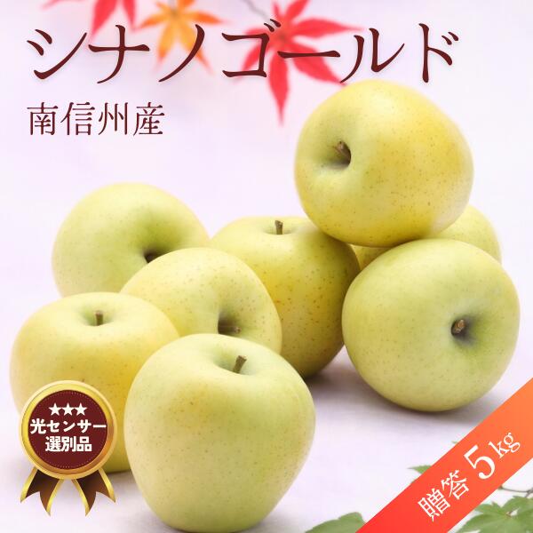 【ふるさと納税】りんご シナノゴールド 約5キロ／2025年10月下旬～11月上旬ごろ配送 //長野県 糖度センサー選別 オリジナル品種 南信州 贈答 ギフト 濃厚 甘い 酸味 かため 硬め シャキシャキ 新鮮 JA14