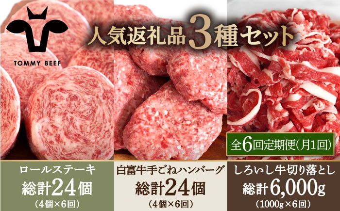 
            【牧場直送】【6回定期便】人気返礼品詰め合わせ！牛肉100%ふんわりロールステーキ 4個＆白富牛 手ごねハンバーグ 4個＆しろいし牛 切り落とし 1000g【佐賀セントラル牧場】佐賀県産 牛肉 お肉 肉 ステーキ ハンバーグ 切り落とし 九州 佐賀県 白石町 [IAH186]
          