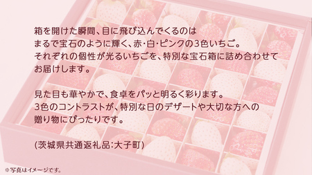 3色いちご の宝石箱36粒【2025年12月上旬発送開始】(茨城県共通返礼品：大子町)